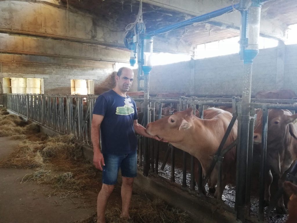 Luca Conti nel suo allevamento di Vacche Rosse