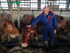 Lupa, la Vacca Rossa mascotte della Società Agricola Canada
