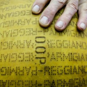 parmigiano reggiano vacche rosse dop