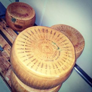 parmigiano reggiano vacche rosse pronto per l'esportazione