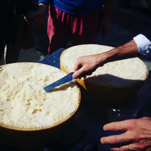 degustazione di parmigiano reggiano vacche rosse