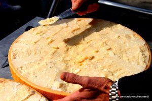 Caseifici aperti al Consorzio Vacche Rosse