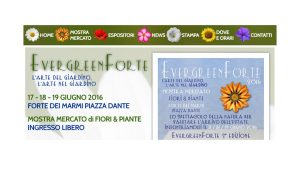 evergreen forte