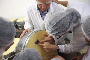 visita-caseificio-parmigiano-reggiano-vacche-rosse